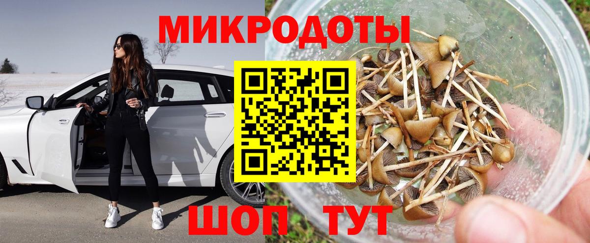 Вязьма  Псилоцибиновые грибы прущие грибы  Псилоцибиновые грибы MAGIC MUSHROOMS  Вход с VPN 