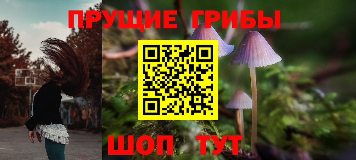 Галлюциногенные грибы Psilocybe Вязьма